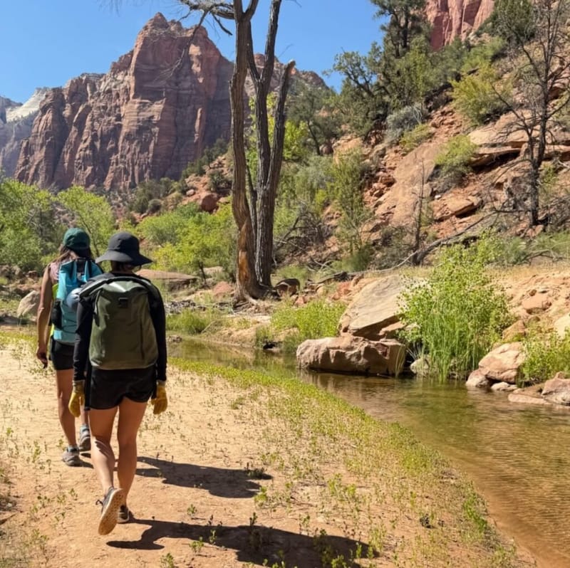 Zion13-1024x1022.jpeg