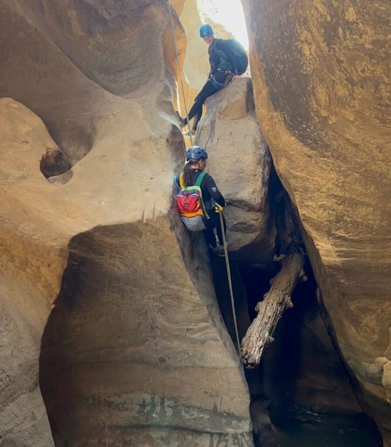 Zion6-896x1024.jpeg
